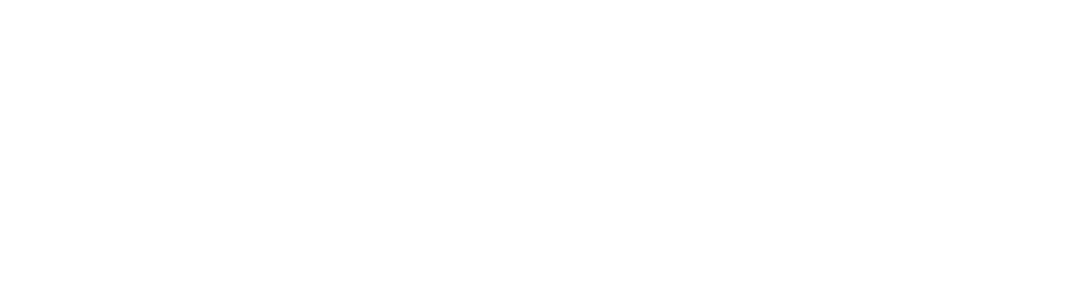 Qziae Consulting Private Limited